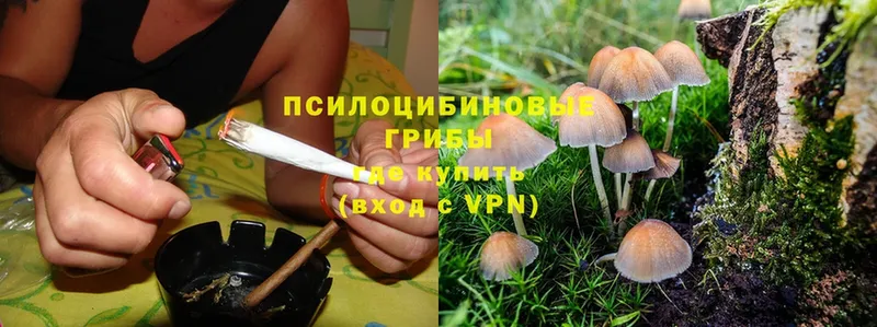 Псилоцибиновые грибы Magic Shrooms  Дубовка 